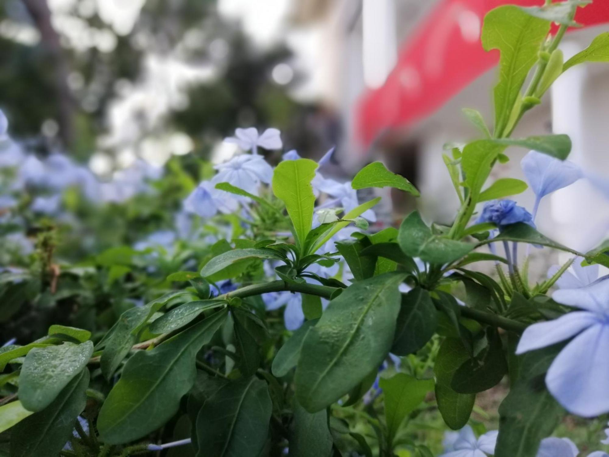 B&B Sa Scraria Meana Sardo Ngoại thất bức ảnh
